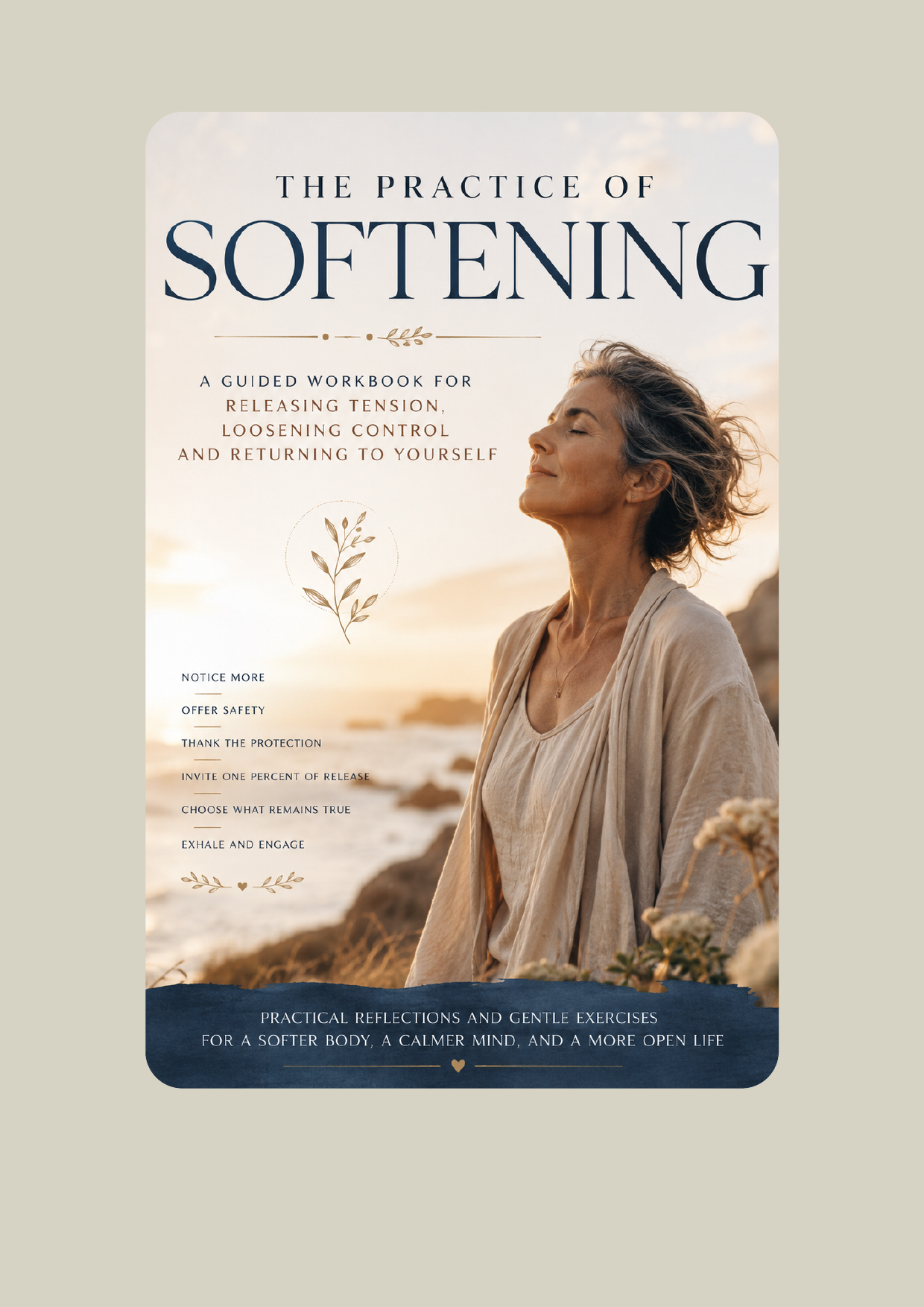 The Practice of Softening cover